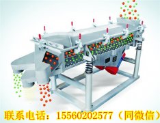 湖南王總需要的DZSF直線振動(dòng)篩今天發(fā)貨！